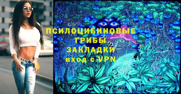 гашик Богданович
