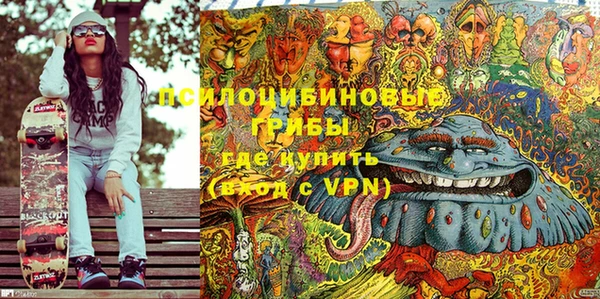 гашик Богданович