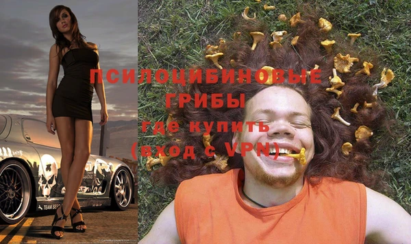 гашик Богданович