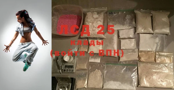гашик Богданович