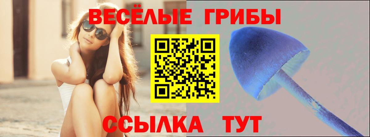 Псилоцибиновые грибы прущие грибы  Вход с VPN  Реж 
